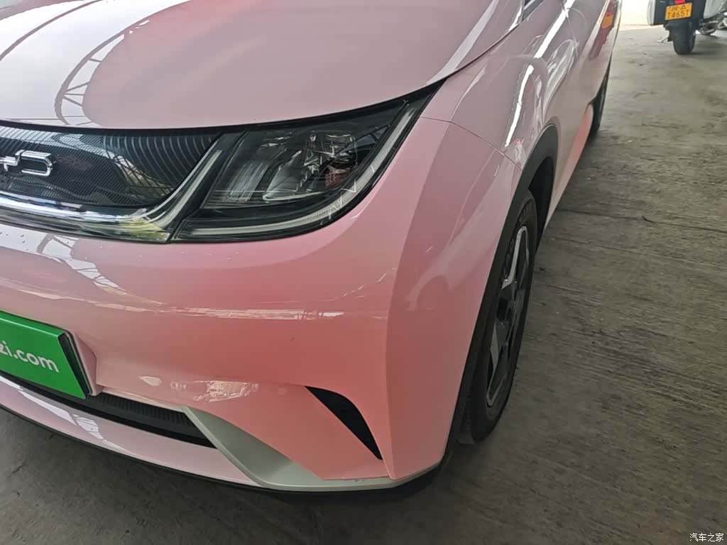 BYD Dolphin, 2022 24