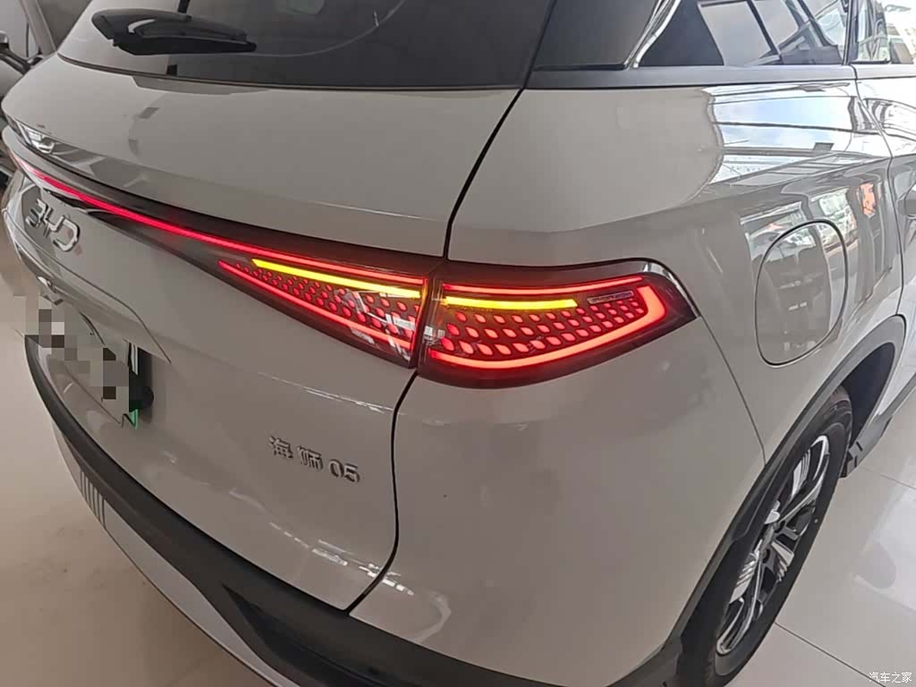 BYD HiAce, 2024 8