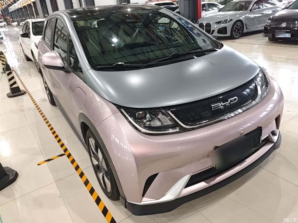 BYD Dolphin, 2022 4