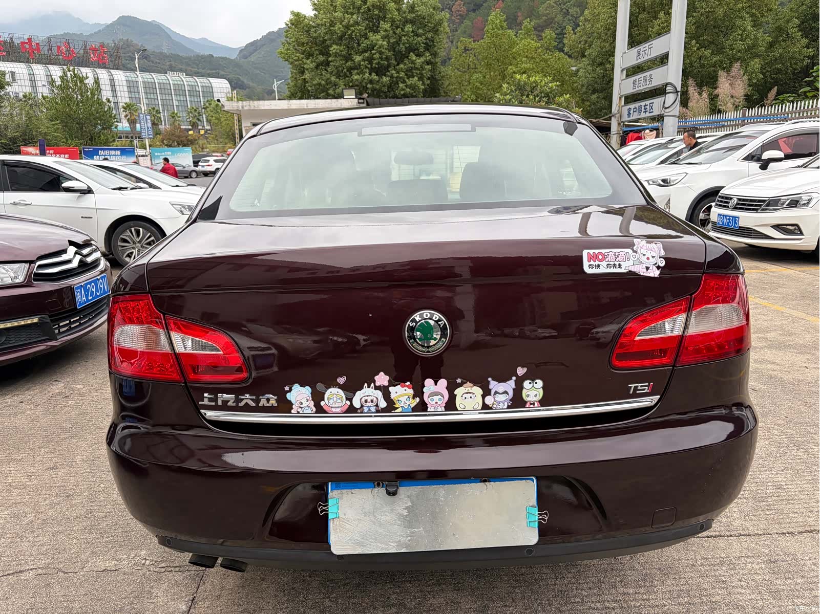 Skoda Line2, 2013 8