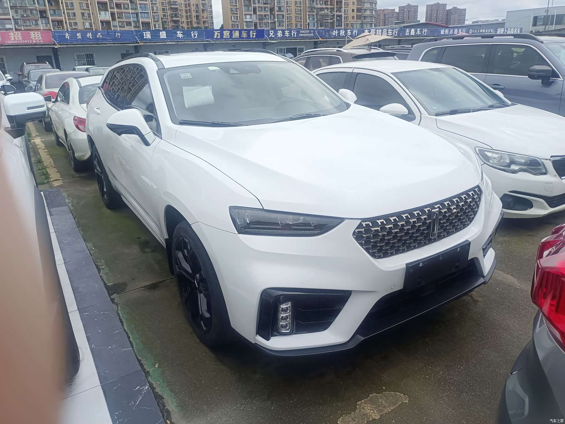 WEY VV7, 2019 3