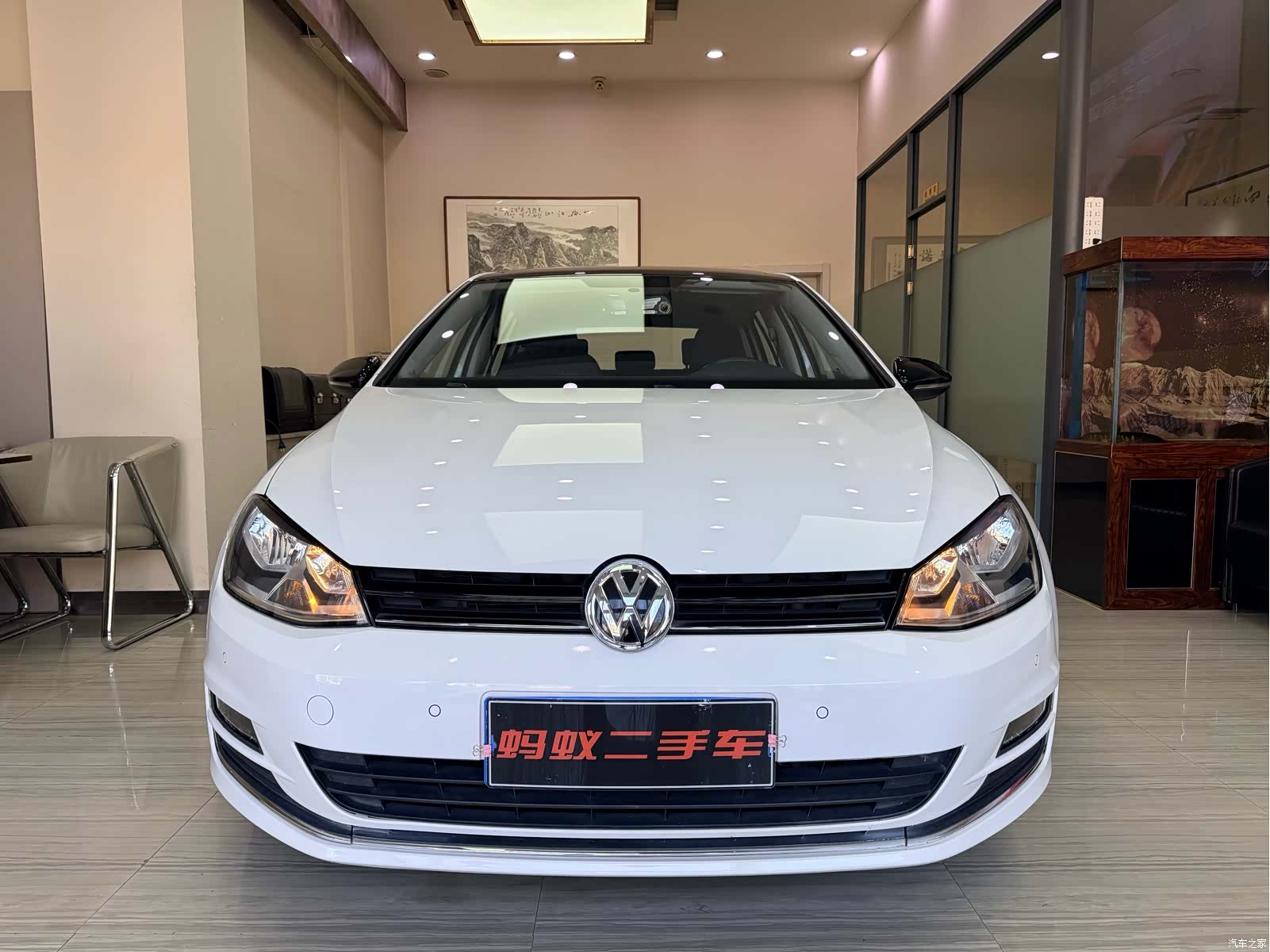 Volkswagen Golf, 2017 все фото