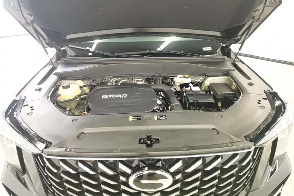 Trumpchi GS8, 2024 10