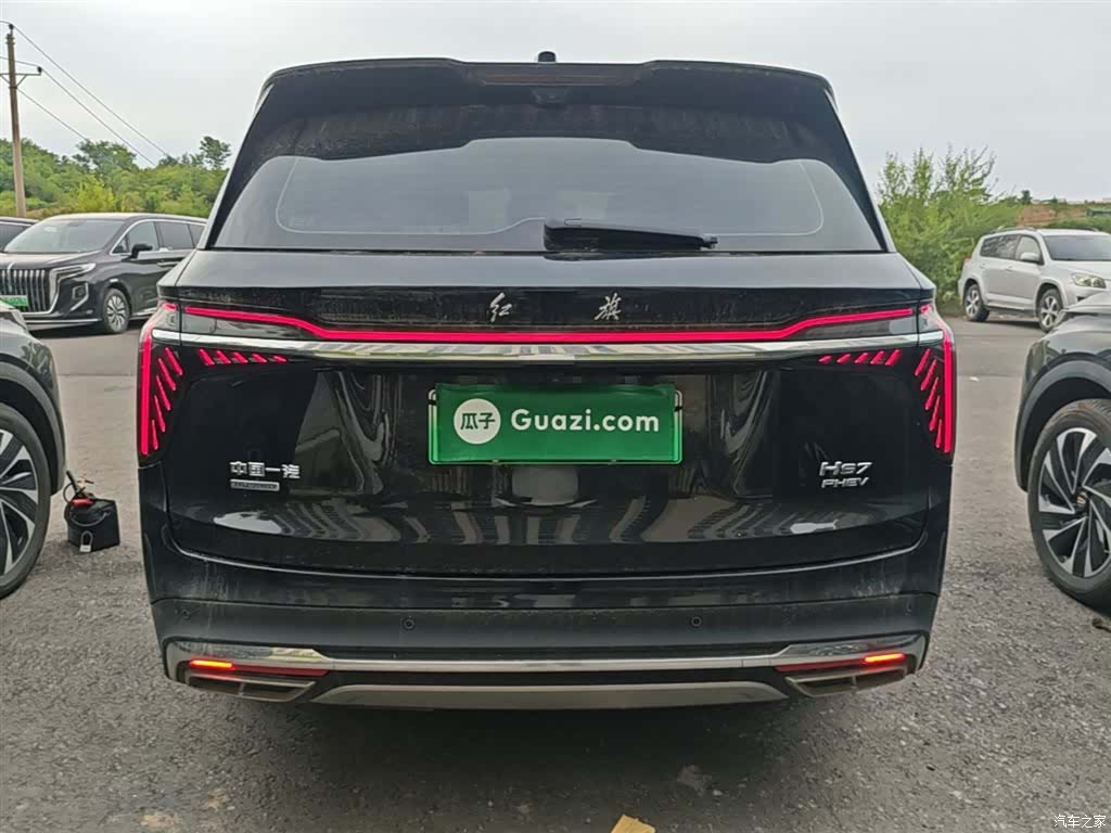 Hongqi HS7, 2024 6