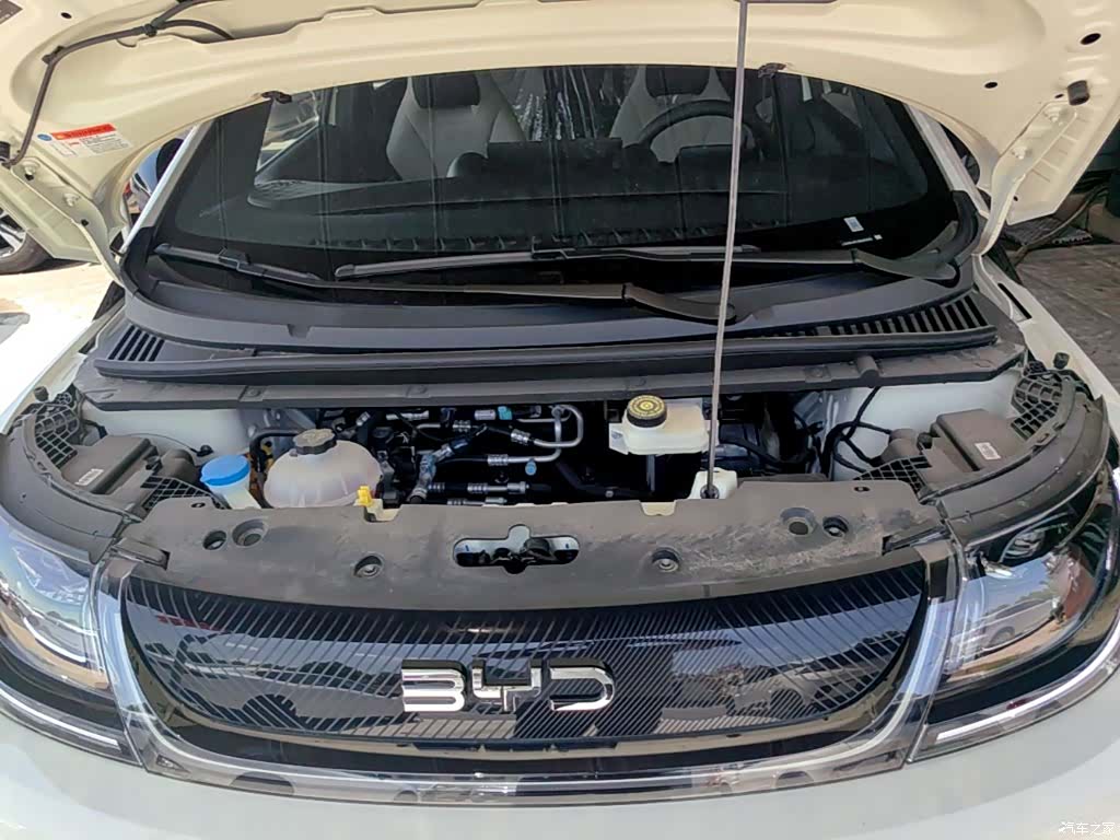 BYD Dolphin, 2026 20