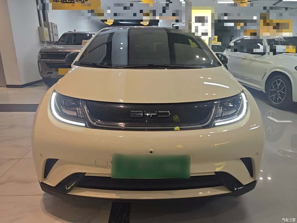 BYD Dolphin, 2023 3