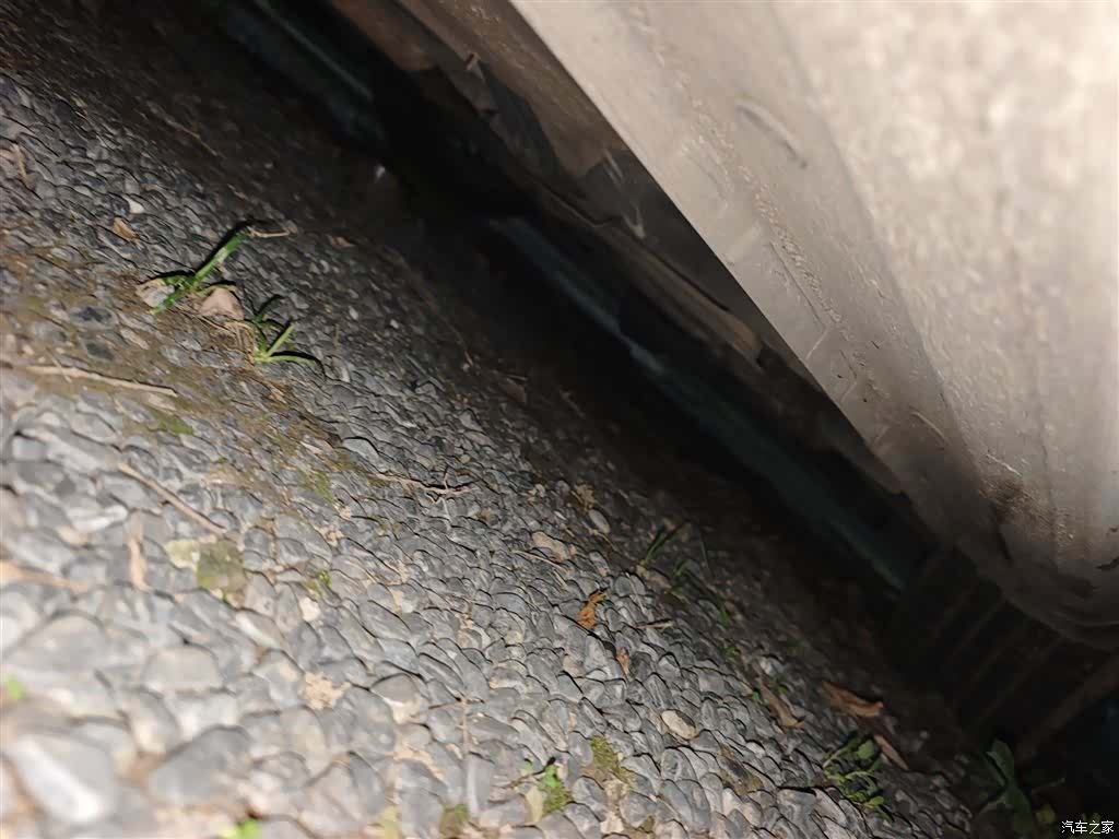 Ford VI, 2019 16