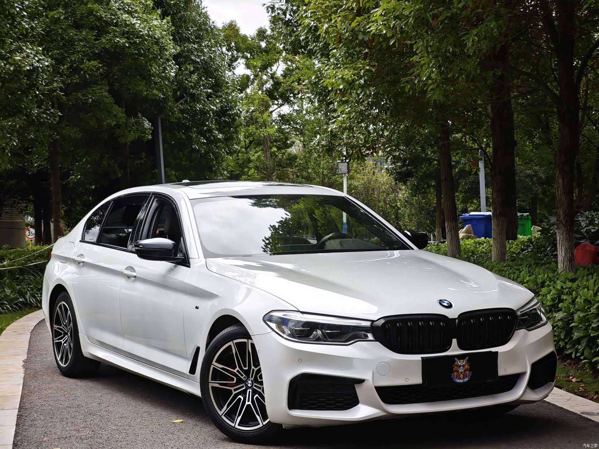 BMW 5 Series, 2019 3