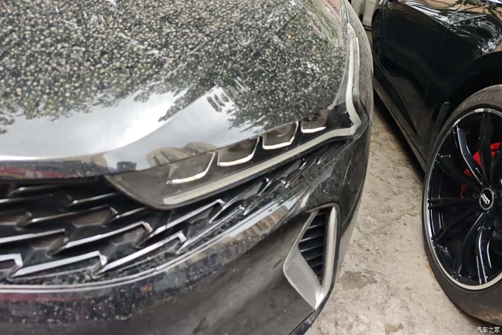 Kia K5, 2022 все фото