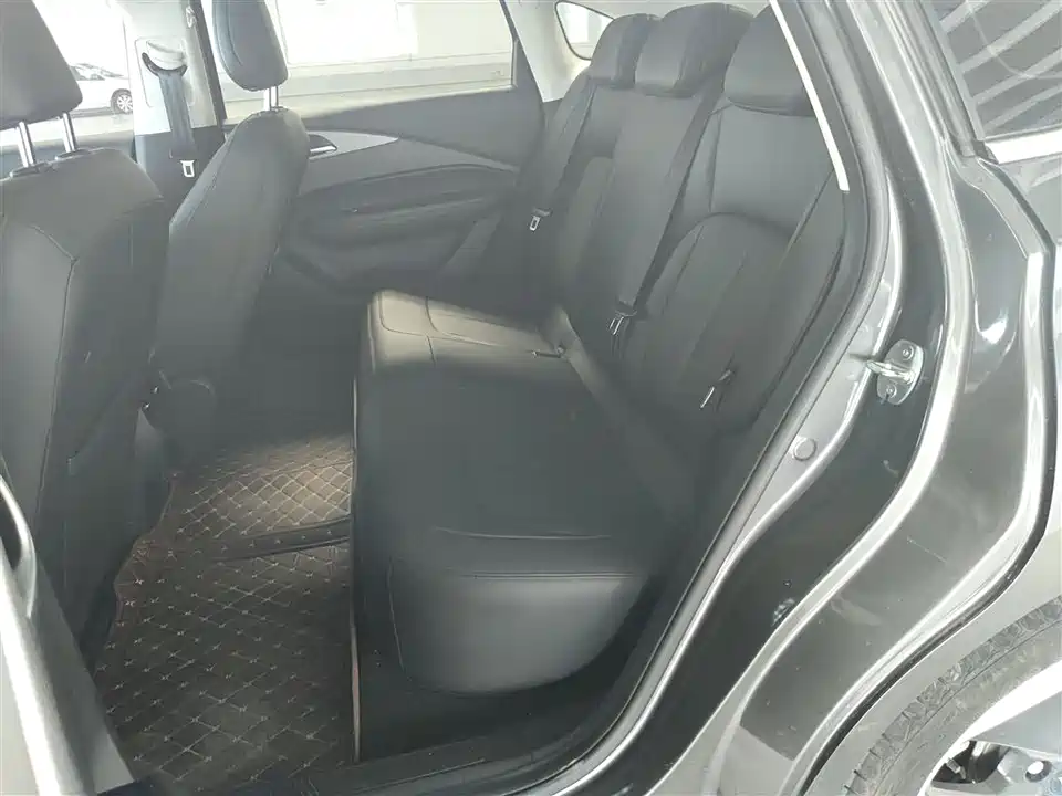 Wuling Wuling Starlight