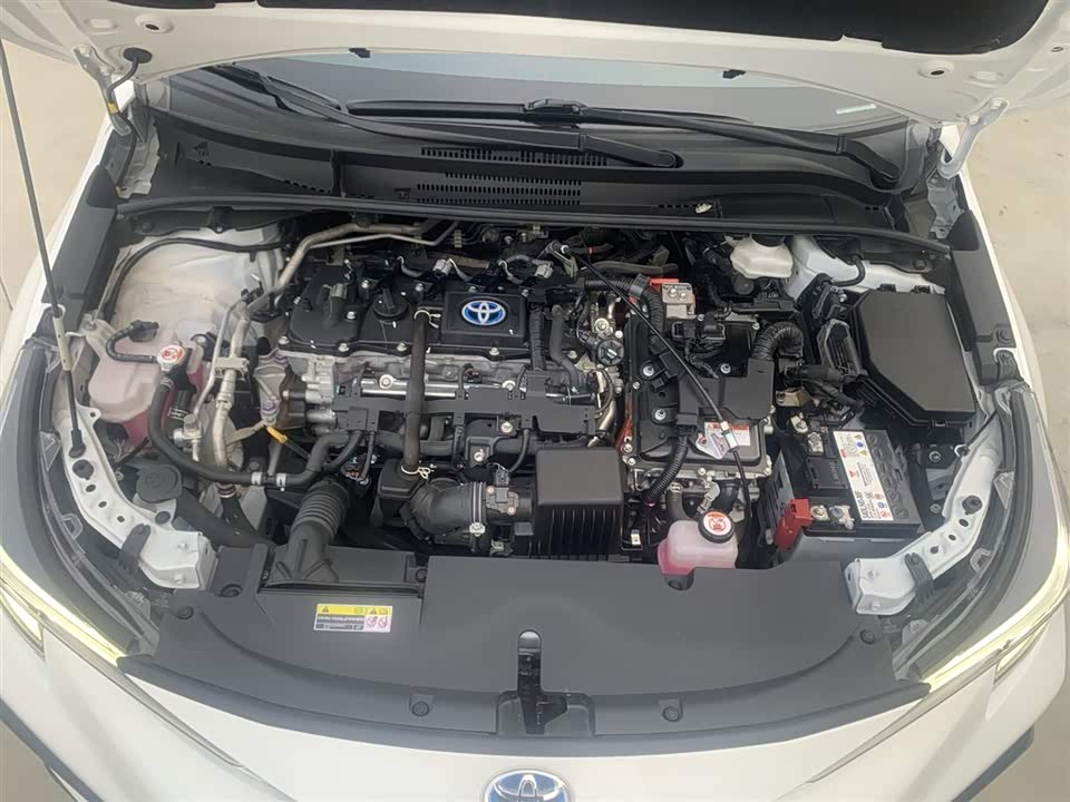 Toyota Lei Ling