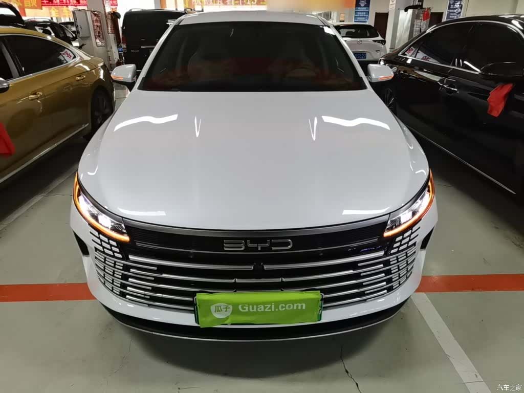 BYD Destroyer 05, 2024 3