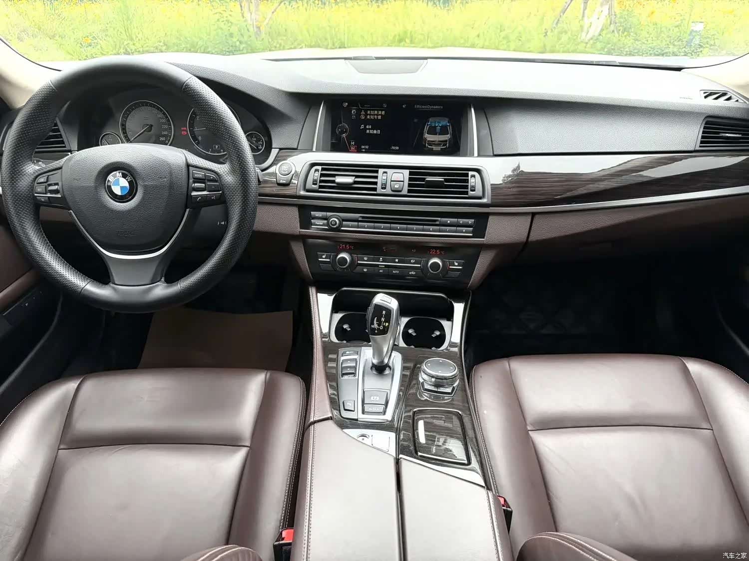 BMW 5 Series, 2015 4