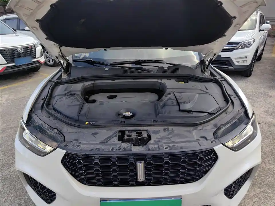 Weipai VV5