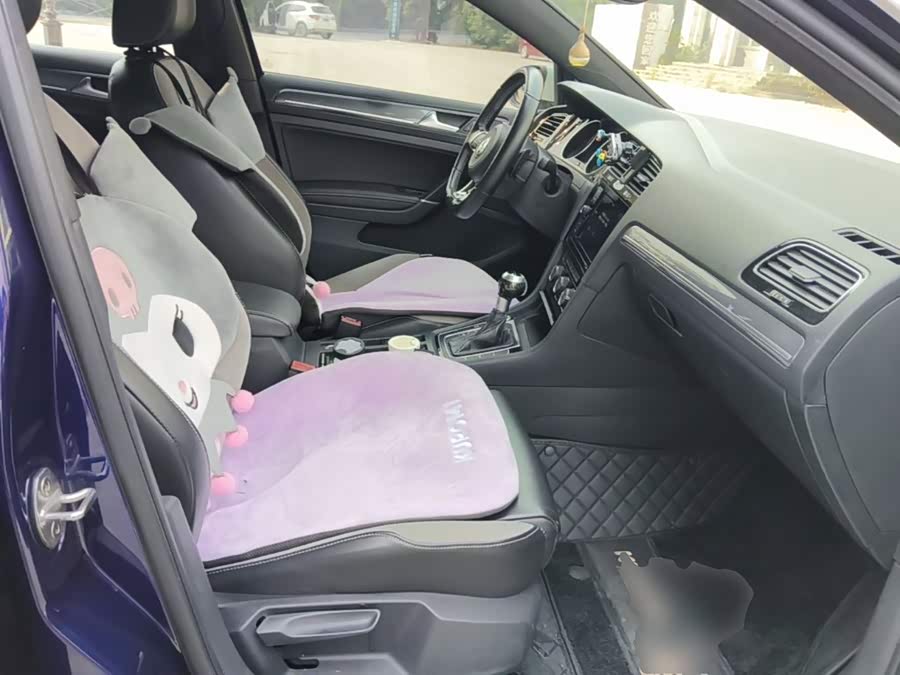 Volkswagen Golf 2019, фото 24