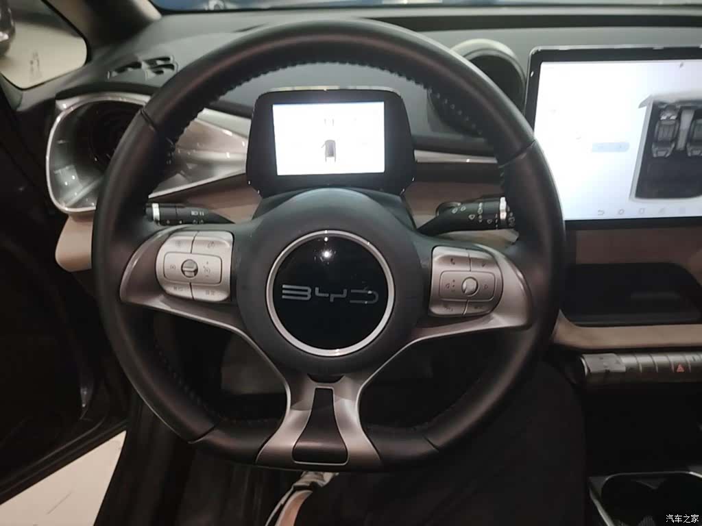 BYD Dolphin, 2024 11