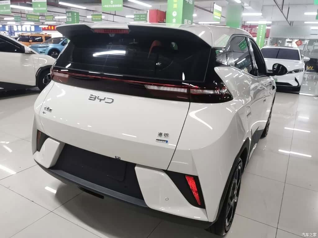 BYD Seagull, 2025 7
