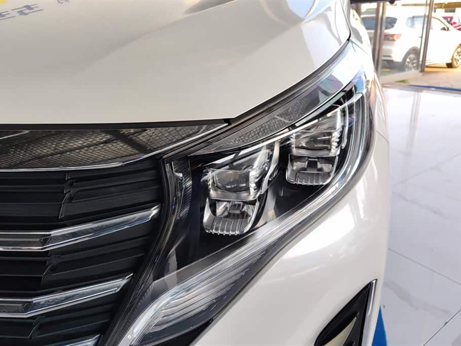 Trumpchi Trumpchi M8