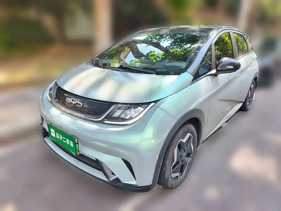 BYD dolphin