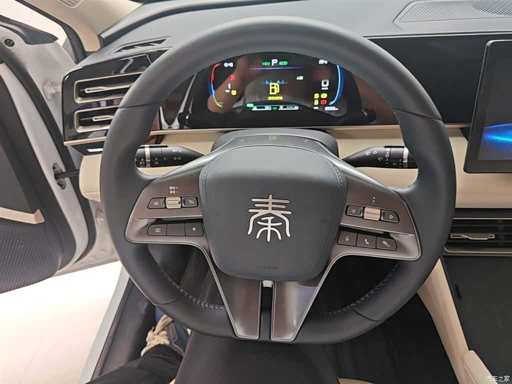 BYD Qin, 2024 11