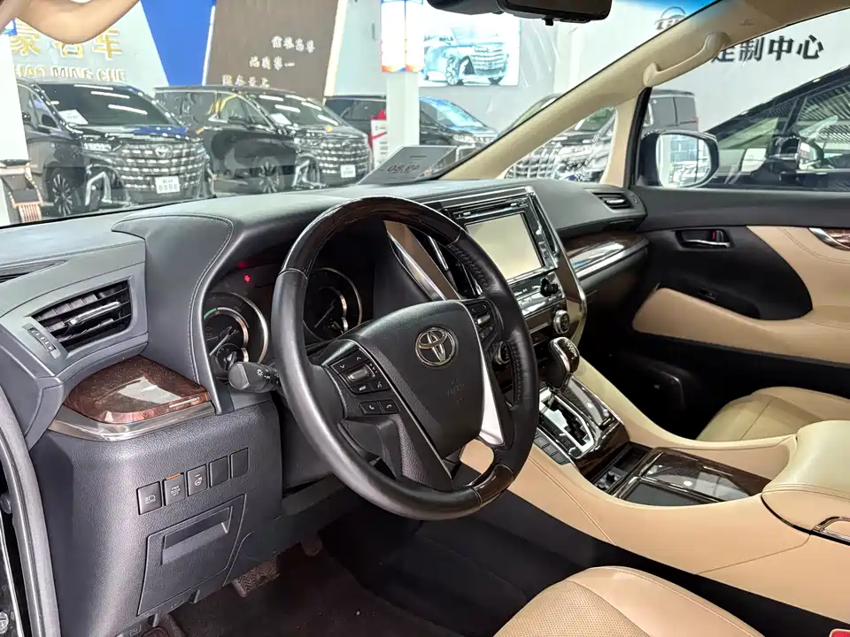 Toyota Elfa