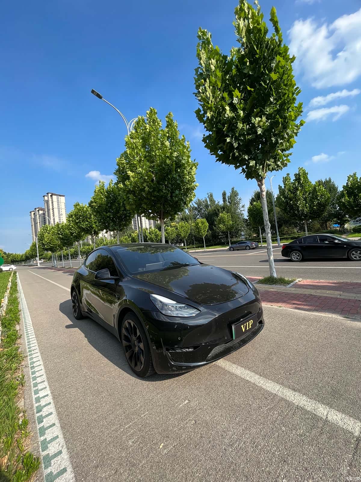 Tesla Model Y, 2021 3