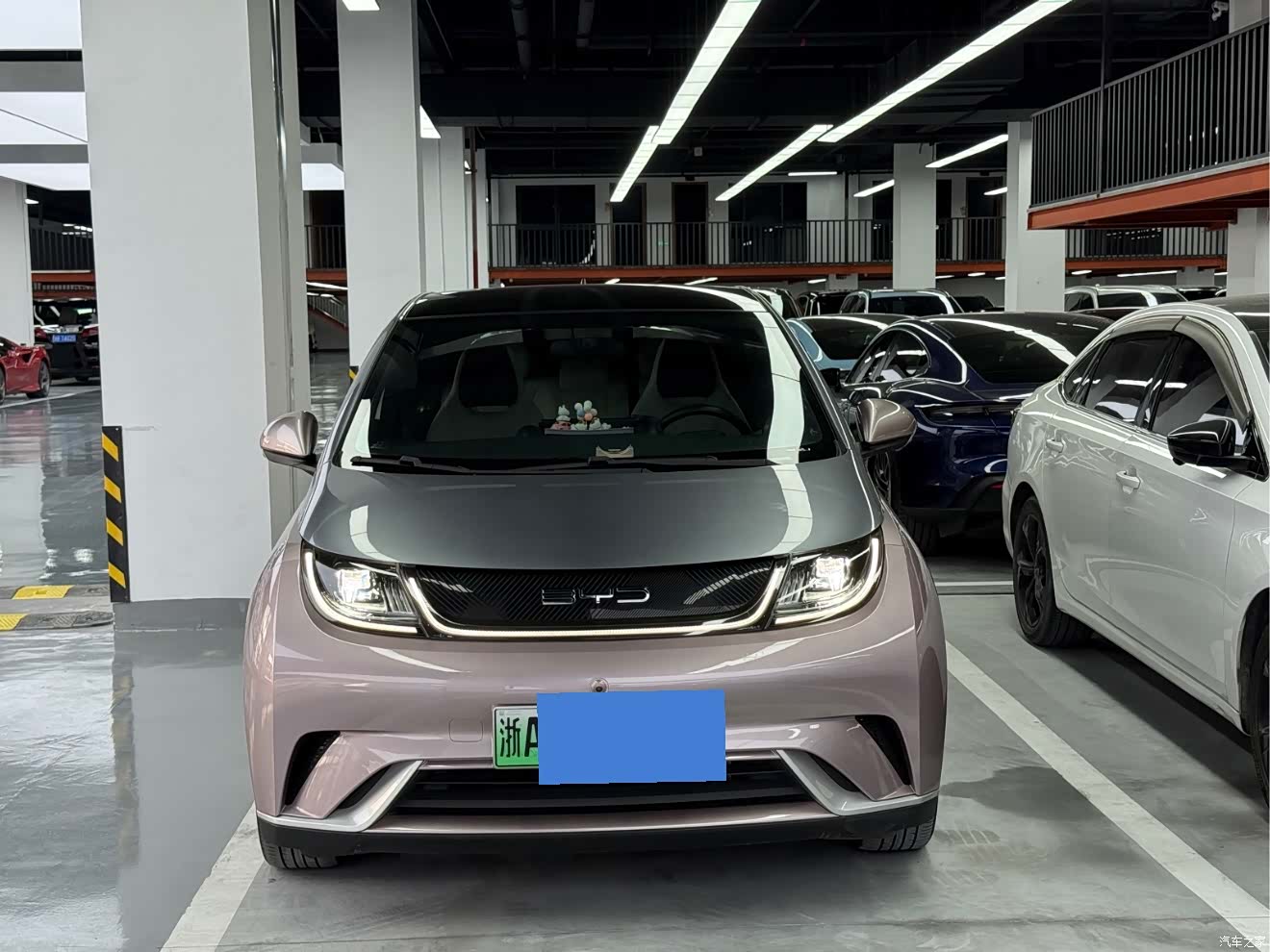 BYD Dolphin, 2022 2