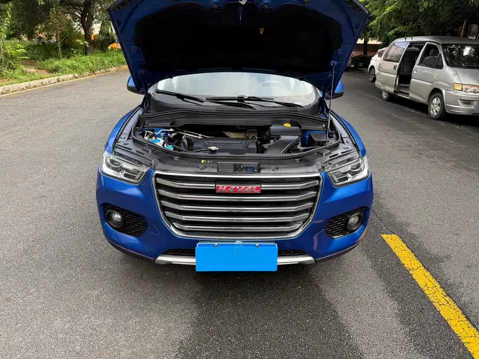 Haval H2s