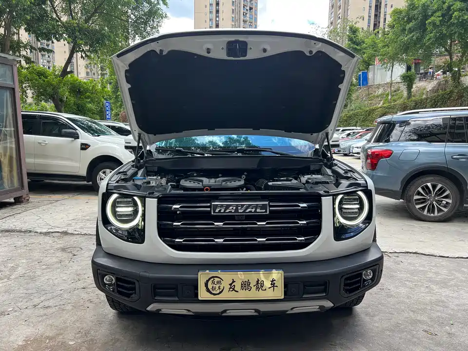 Haval Big dog