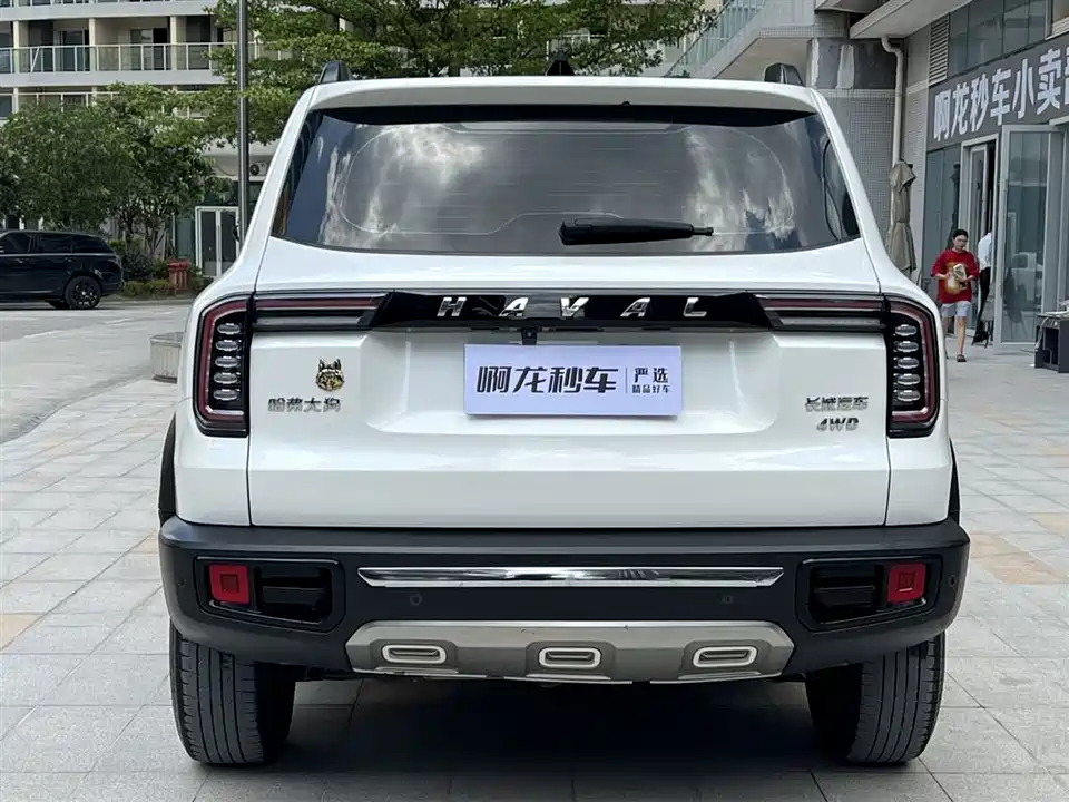 Haval Big dog