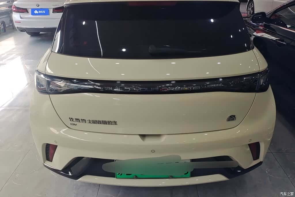 BYD Dolphin, 2023 4