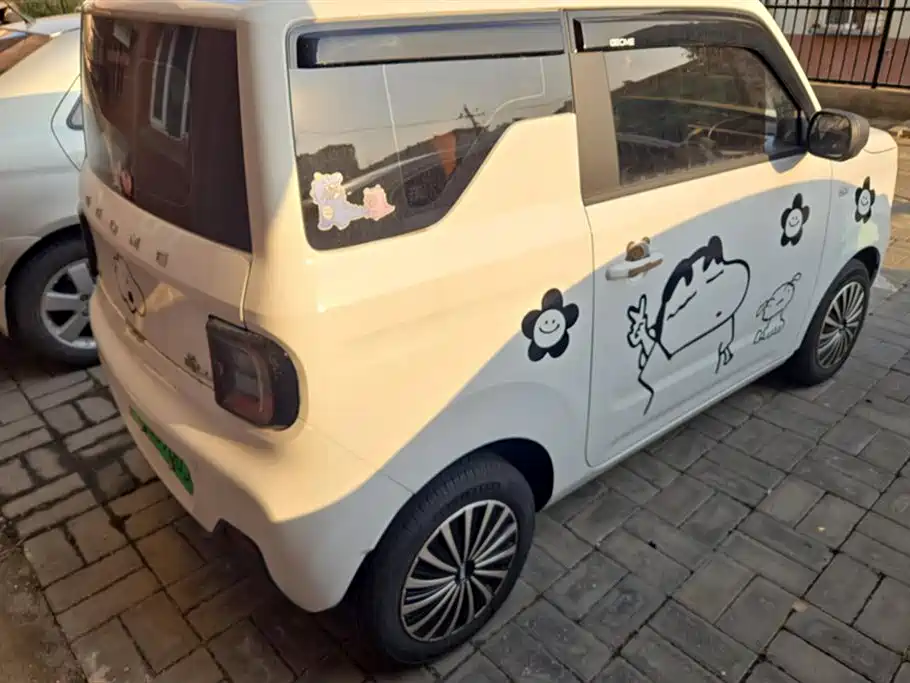 Geely Galaxy panda