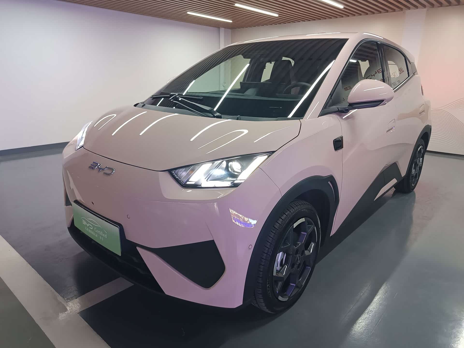 BYD Seagull, 2025 1