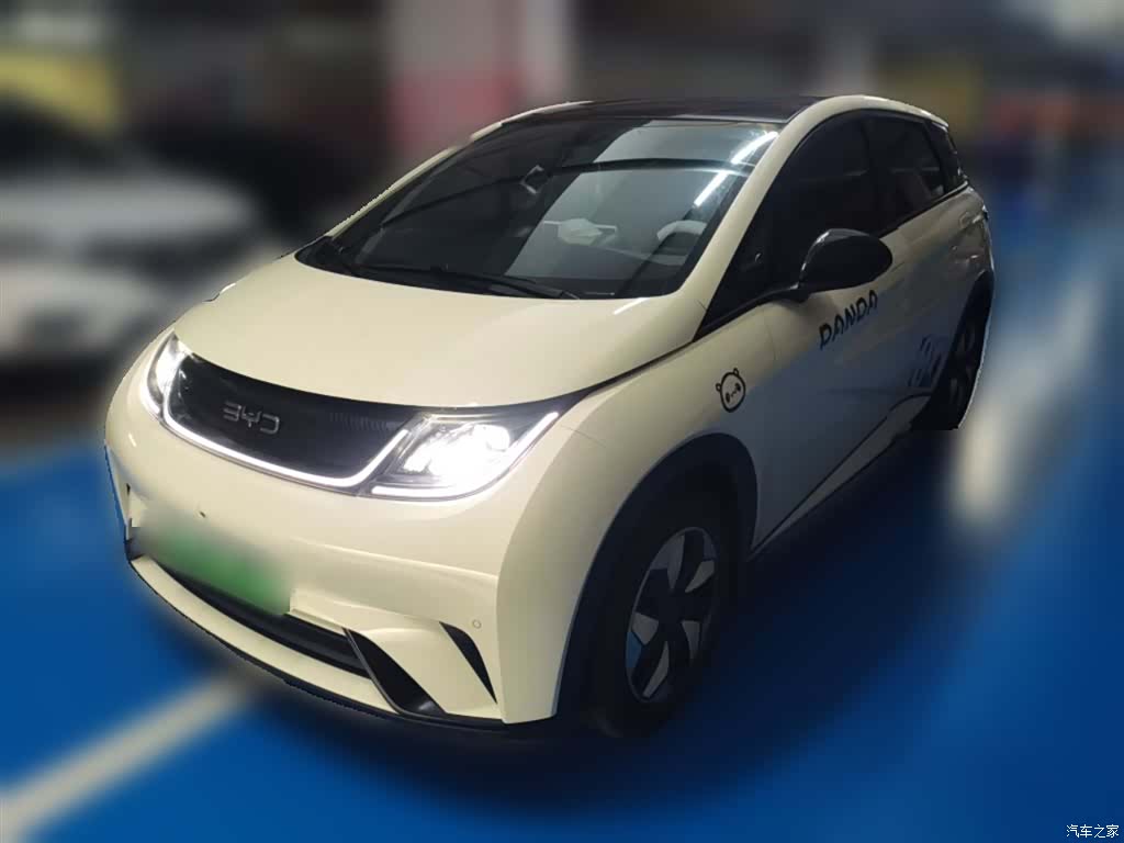 BYD Dolphin, 2024 1