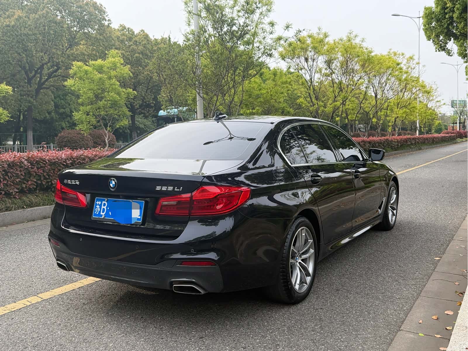 BMW 5 Series, 2020 9