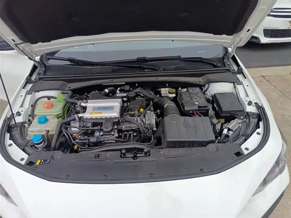 Trumpchi Shadow Leopard