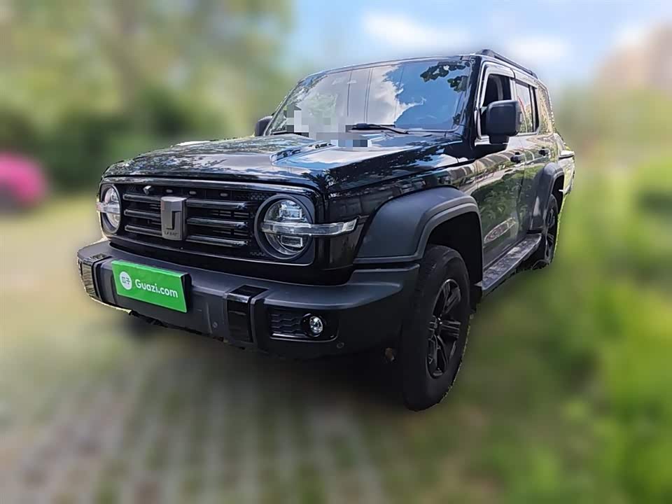 Tank 300