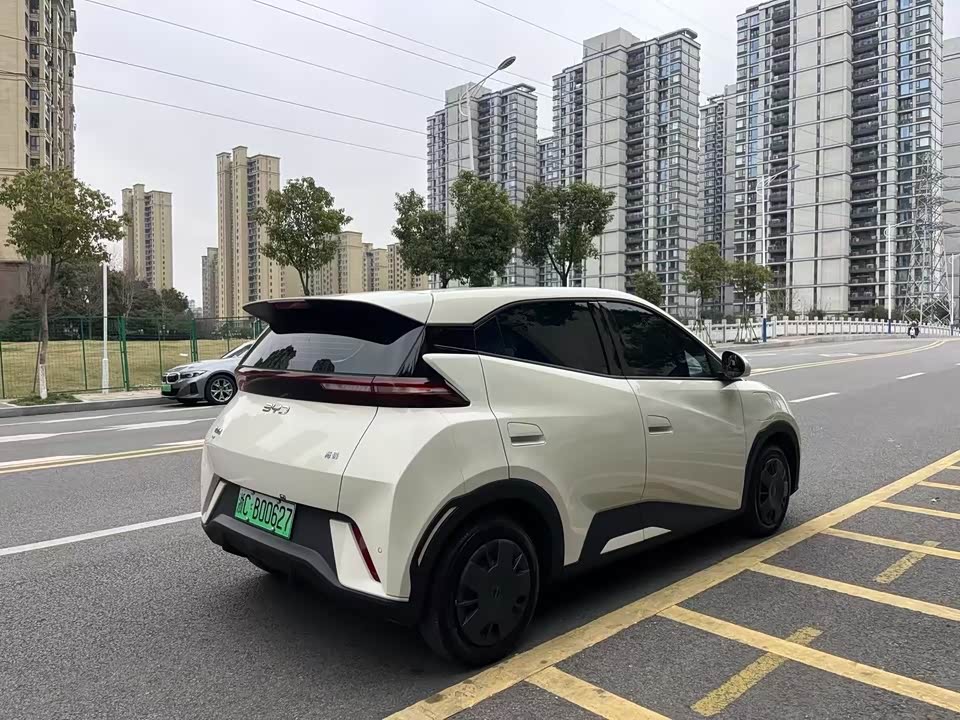 BYD Seagull BYD Seagull