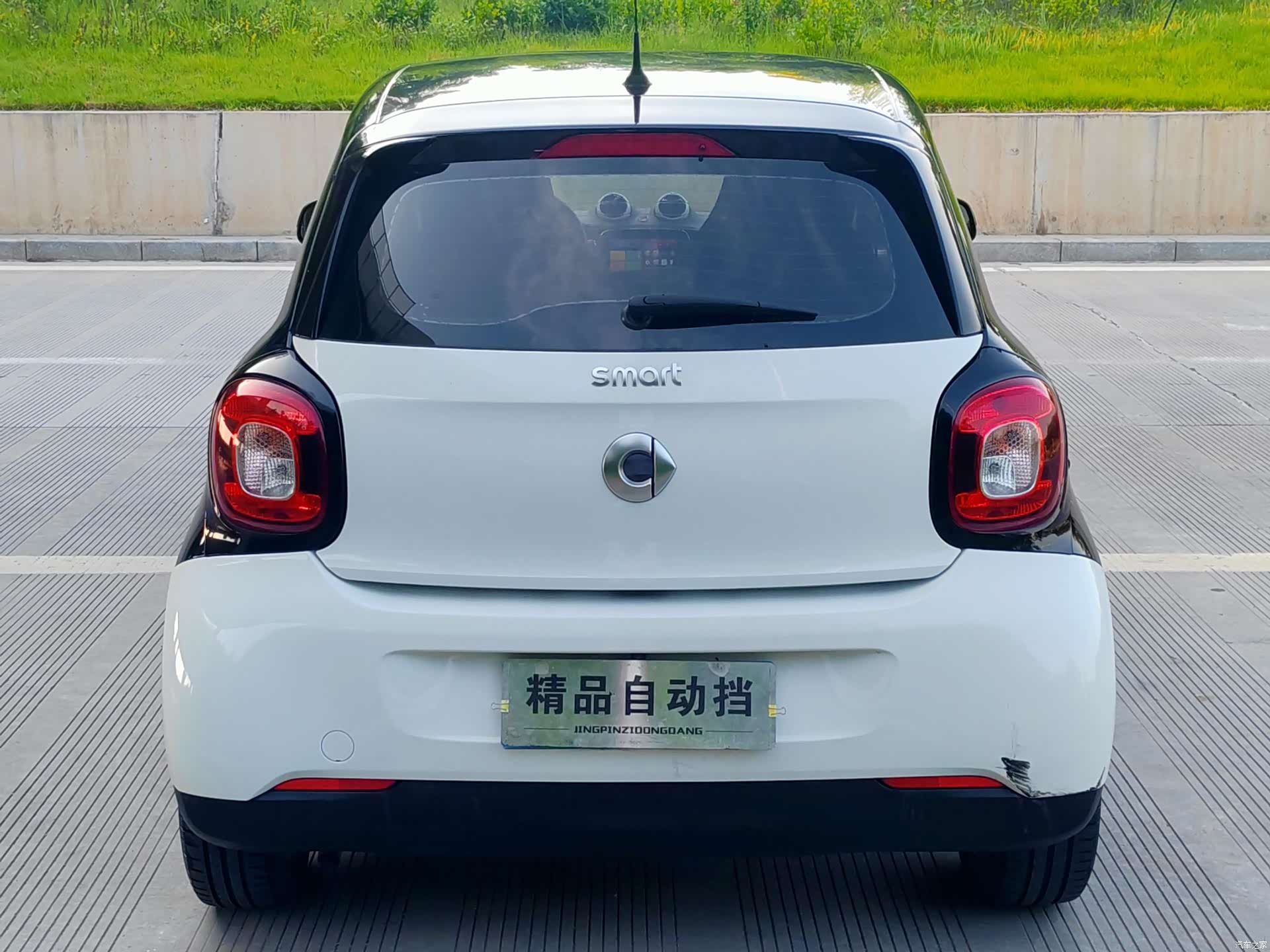 Smart Forfour, 2017 все фото