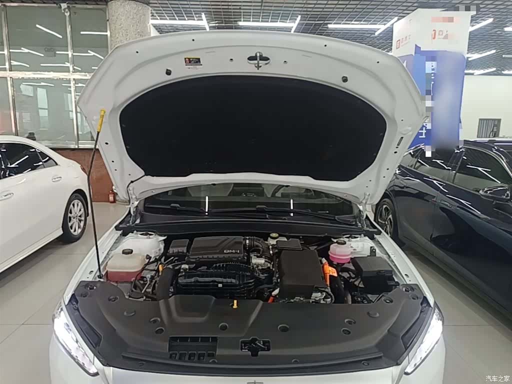 BYD Qin, 2024 20