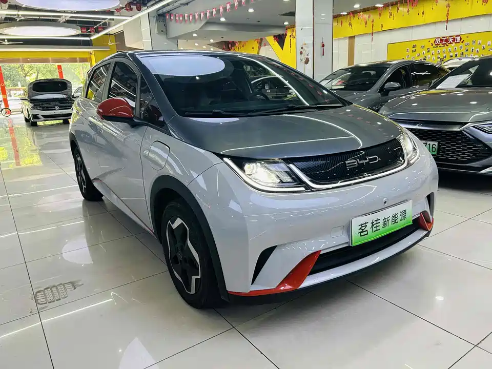 BYD dolphin