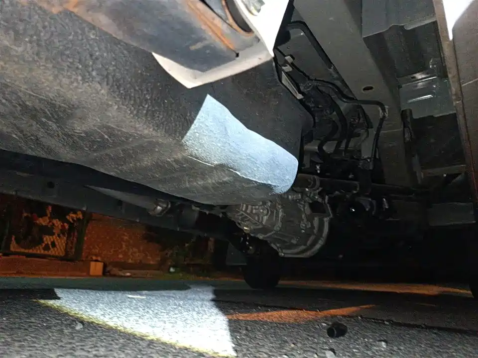 Jinbei Little Sea Lion X30