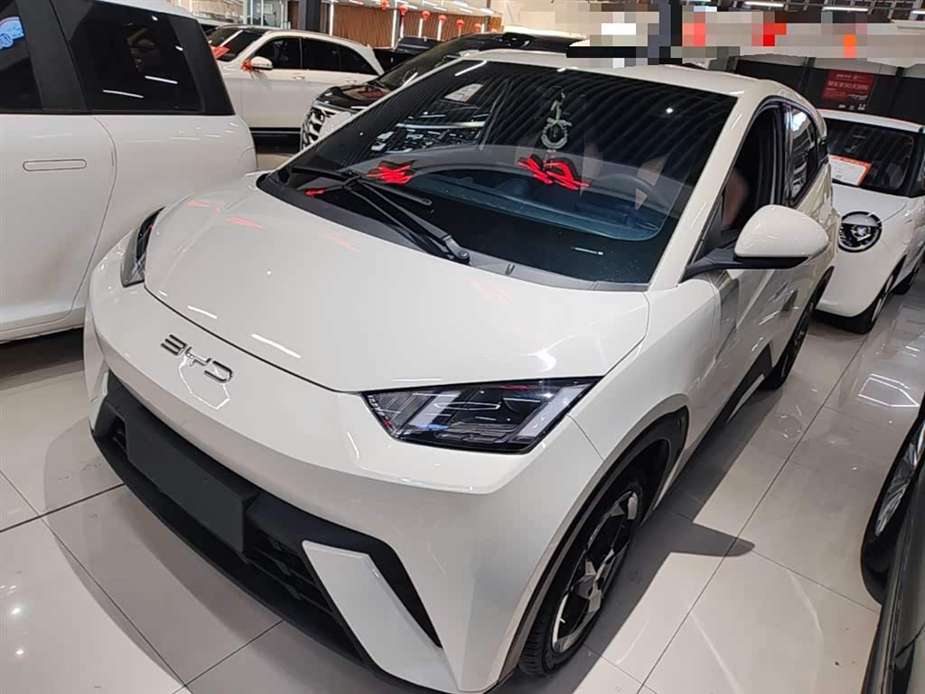 BYD Seagull