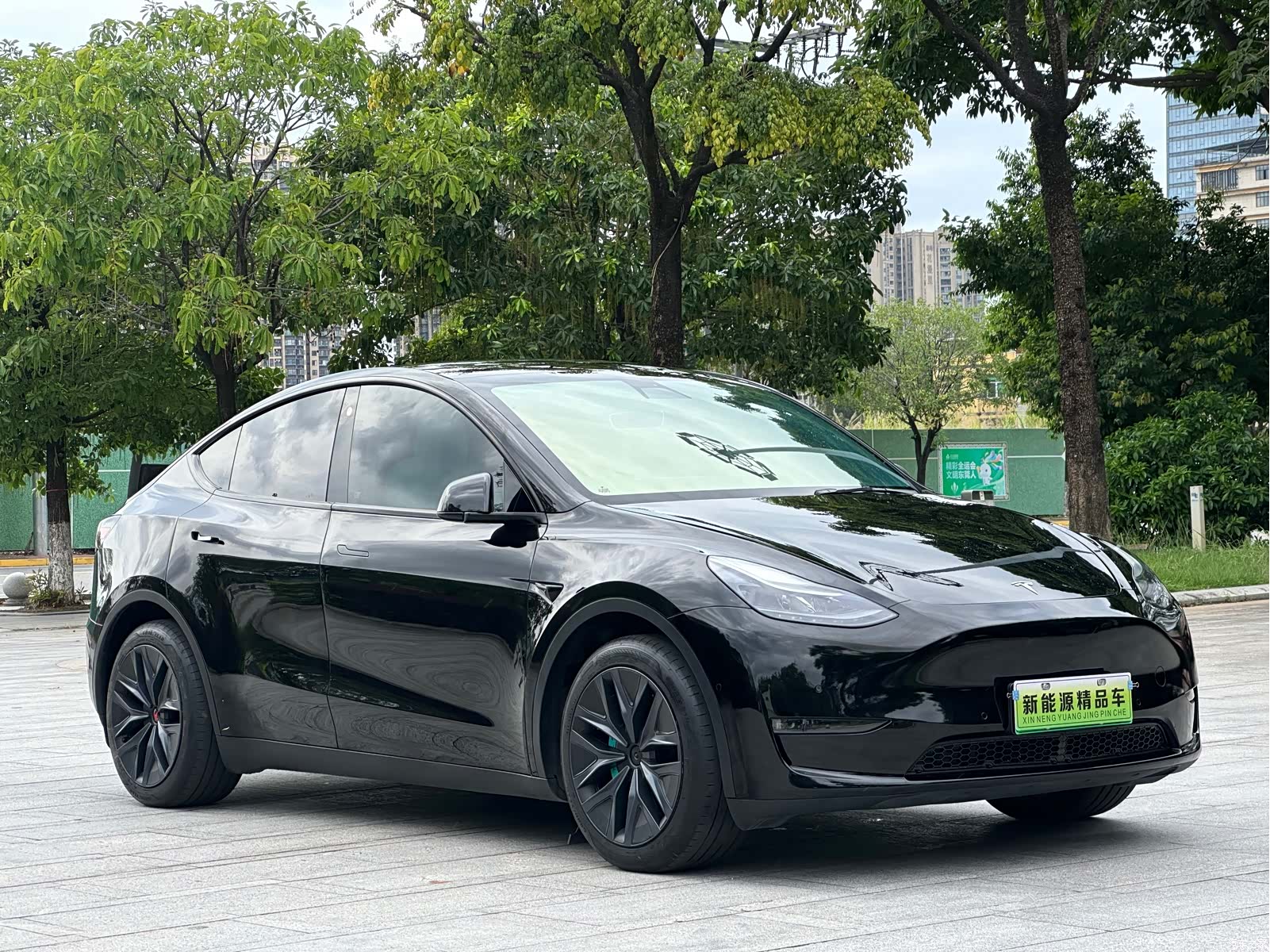 Tesla Model Y, 2021 3