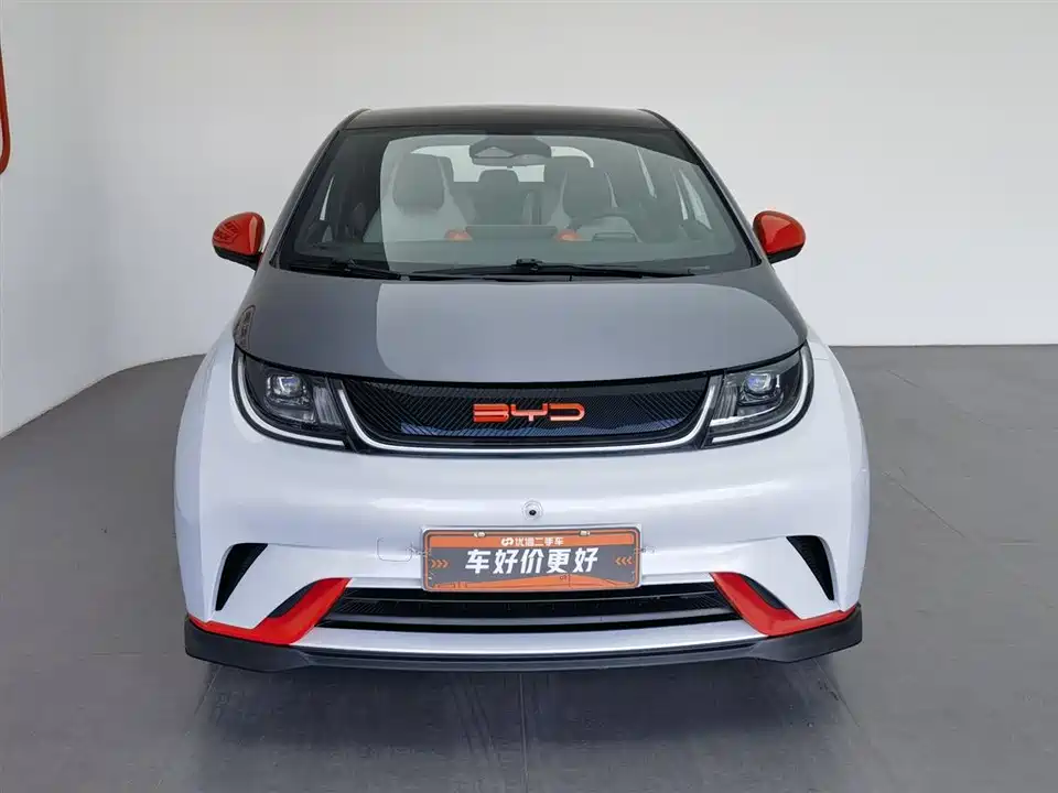 BYD dolphin