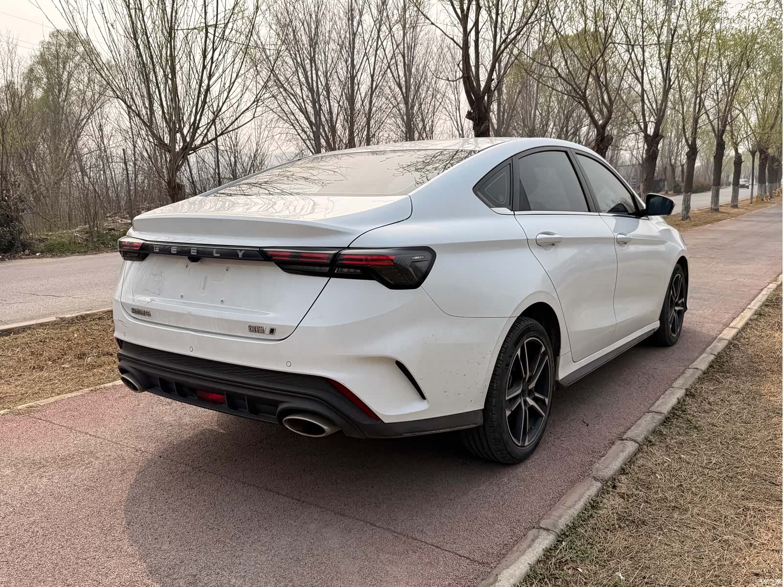 Geely Binray, 2023 8