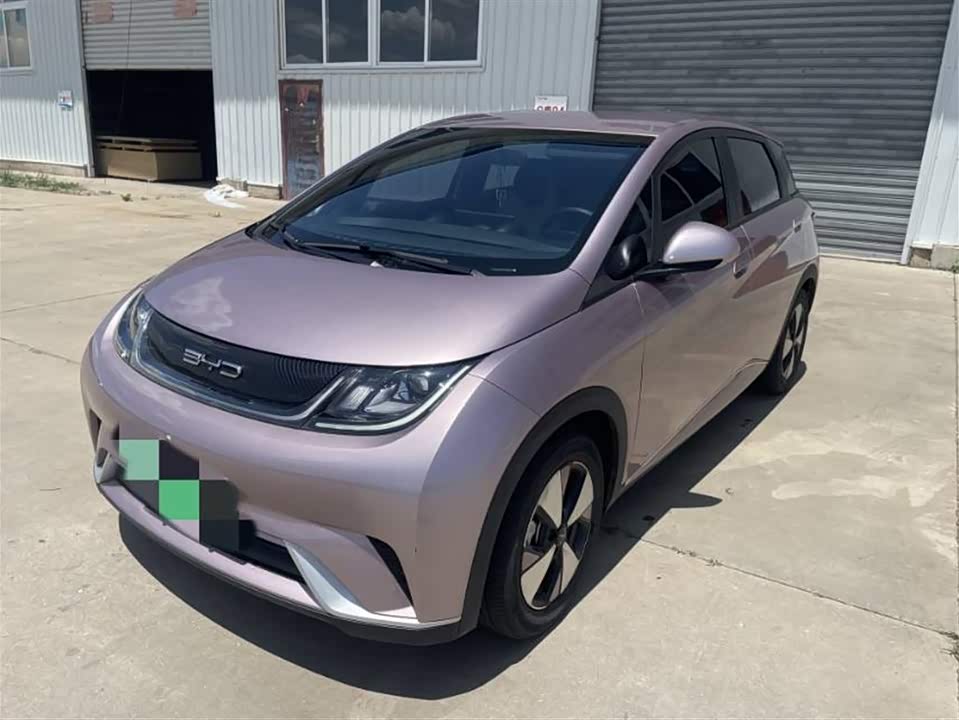 BYD dolphin