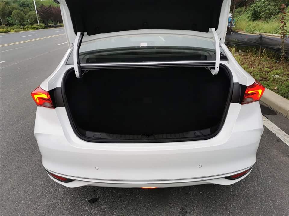 Buick Weilang