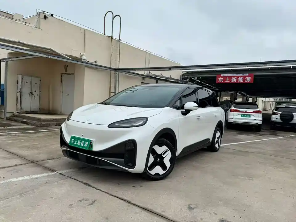 ARCFOX Polar fox koala