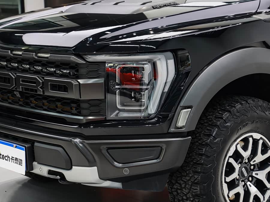 Ford F-150 Raptor 2024, фото 8